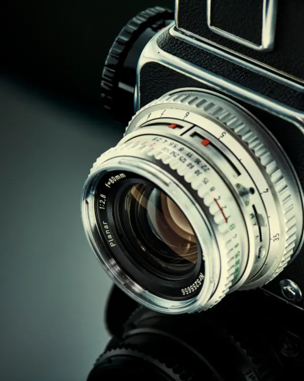 Same camera since 2019. Shows no sign of stopping.
